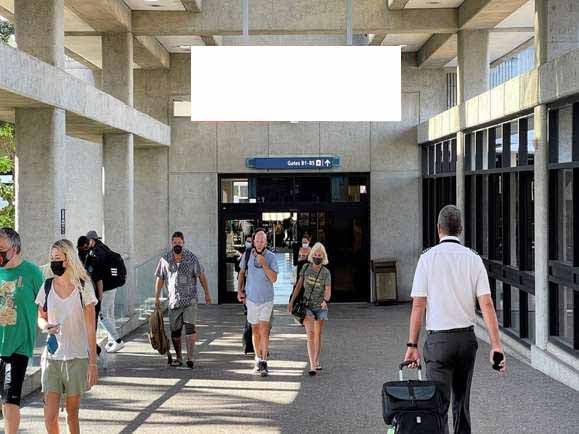 Location photo for Rodgers Blvd (Honolulu)