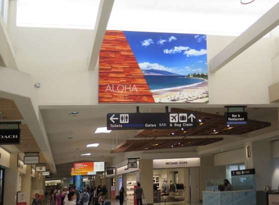 Static in Honolulu, HI