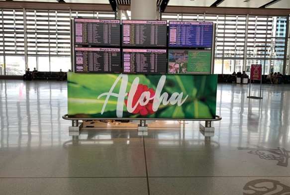 Static in Honolulu, HI