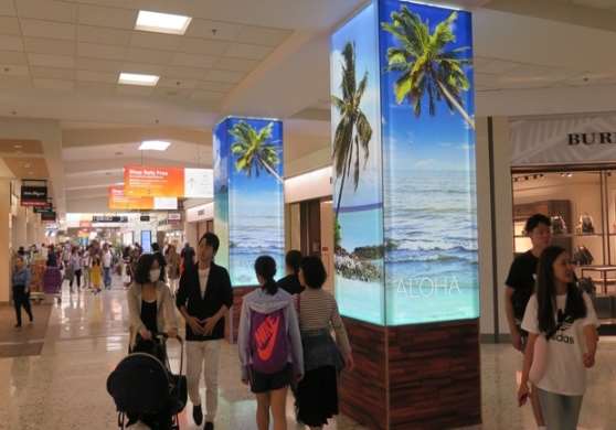 Static in Honolulu, HI