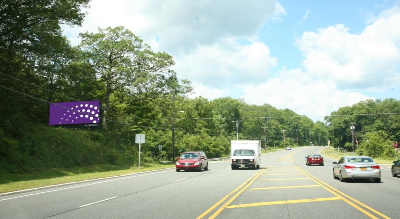 W/S Rt 206 & Morris Ave Branchville F/S Media