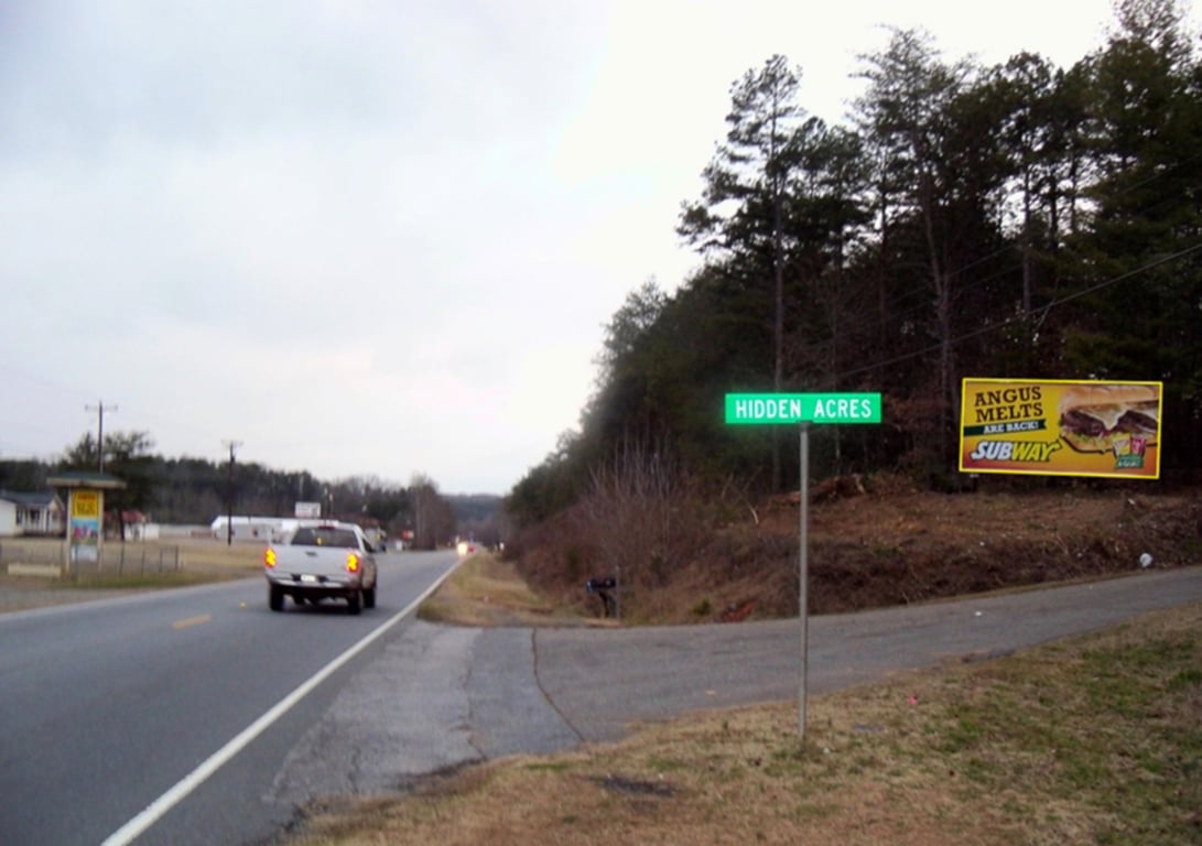 Location photo for US-74 BUS (Bostic)