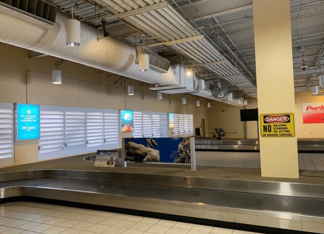 Vertical Backlit in St. Croix, St Croix