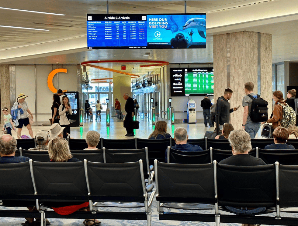 Main Terminal Digital Network - Package of 4