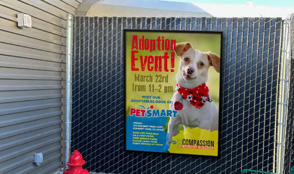 Static in Santa Rosa, CA