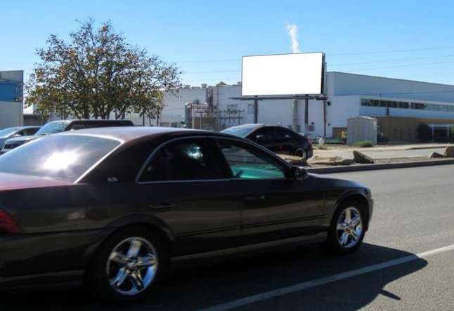 Location photo for Tiogawoods Dr near Pest Guys (Sacramento)