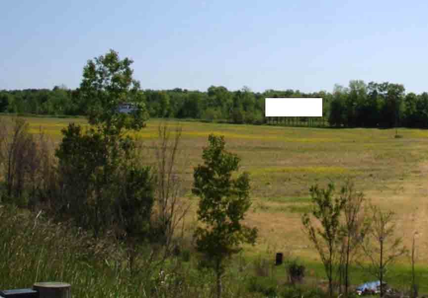 Location photo for Bates Ave (Seville)