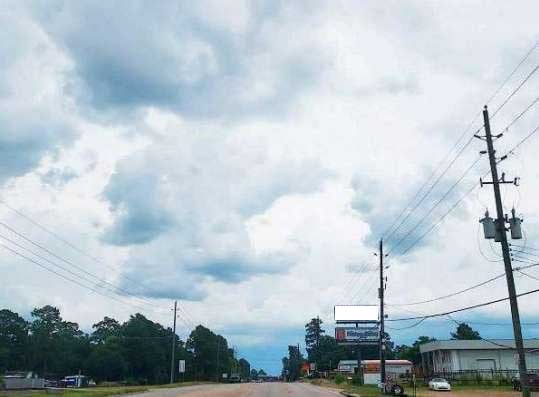 35235 SH 249/ .2 mi S/O FM 149-Top Face Media