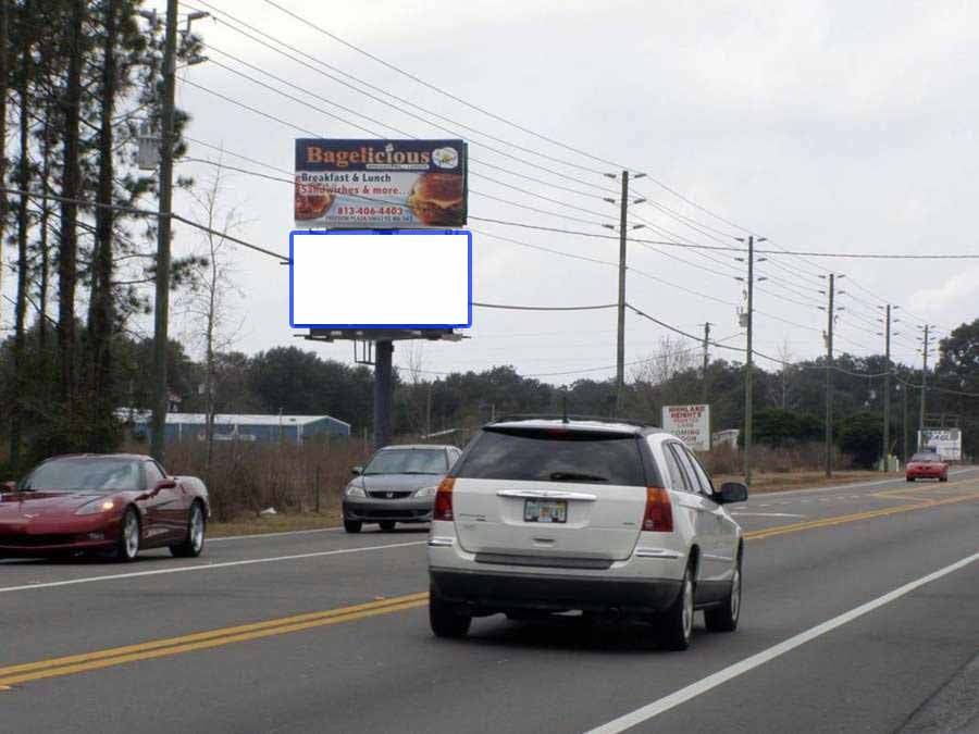 Sr-54 .10 mi W/O Morris Bridge Rd (Bottom Pnl) S/S F/E Media