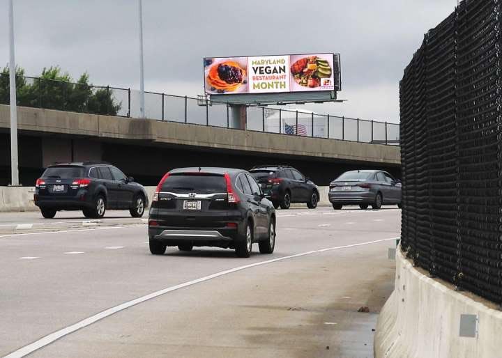 Location photo for S Sharp St near StraighterLine, Sharp-Leadenhall (Baltimore)