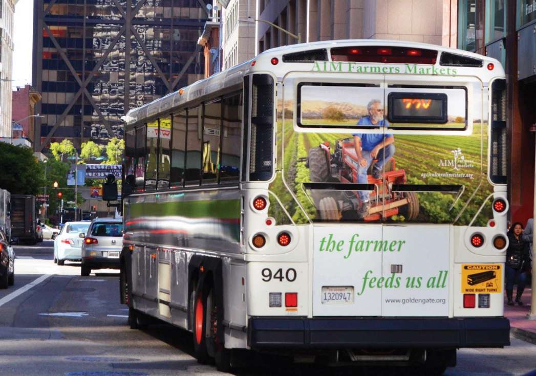 Full Back - 108"x84" Media