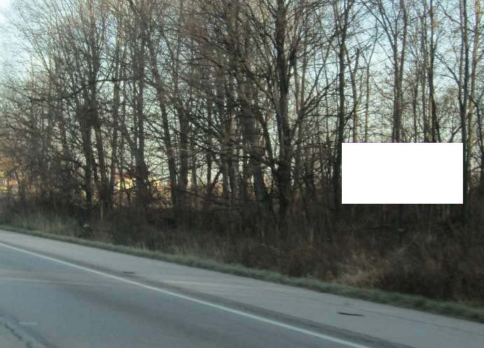 E/S US 31 0.1 Mile S/O 9A Rd F/S