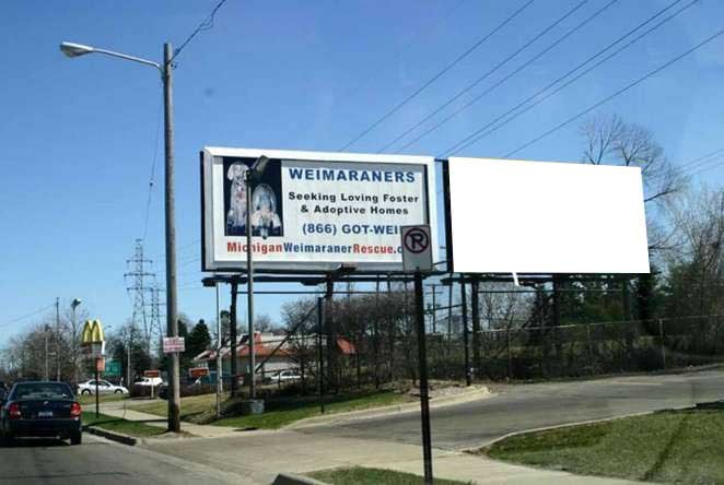 South Blvd W/O Woodward S/S F/W Media