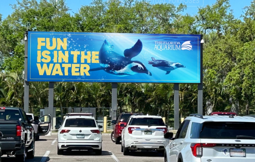 Digital, Tampa International Airport