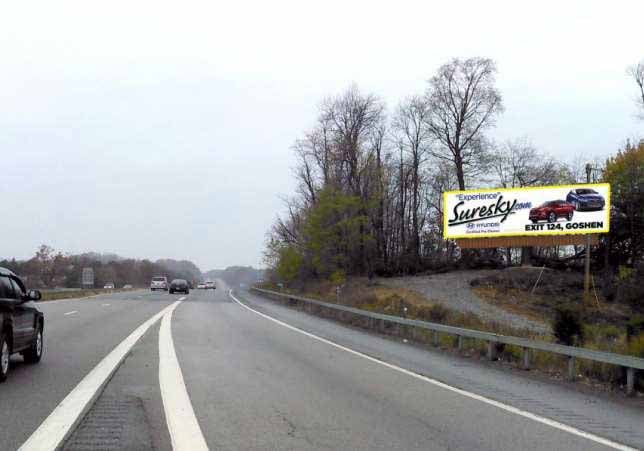 CHESTER NY, RT. 17 F/E NEAR EXIT 126 F/SW Media