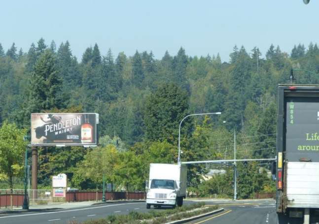 MAPLE VALLEY HWY WL 200F S/O WITTE RD SF-1 Media