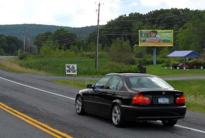 Route & @ Blooming Arts Media