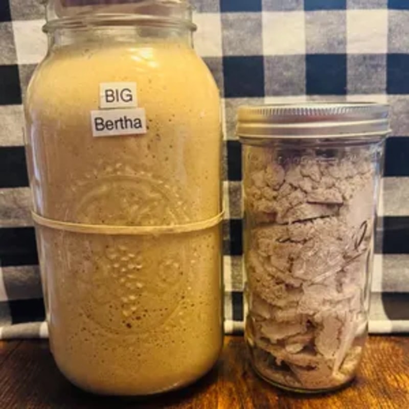 Photo of Live or Freeze-Dried Starter....Making Bread for Life!