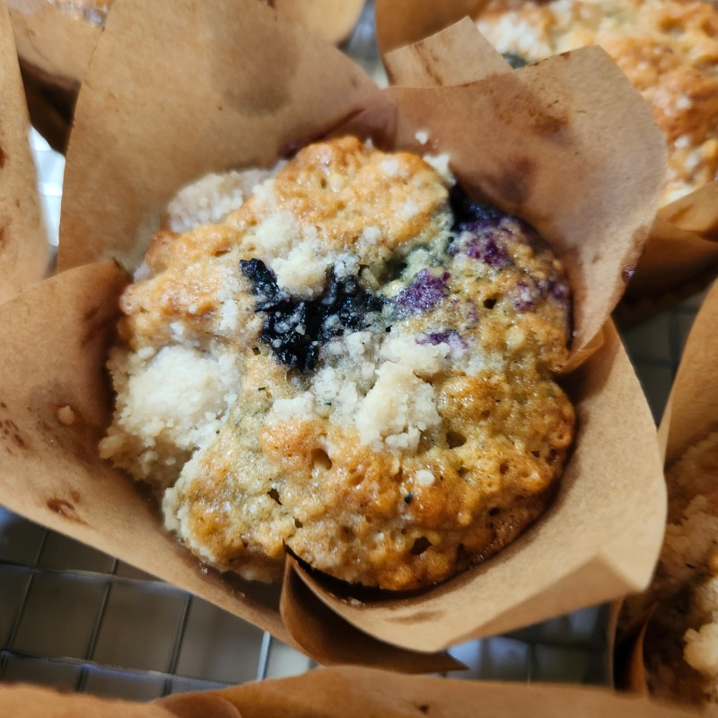 Photo of Blueberry Sourdough Muffins (box of 4)