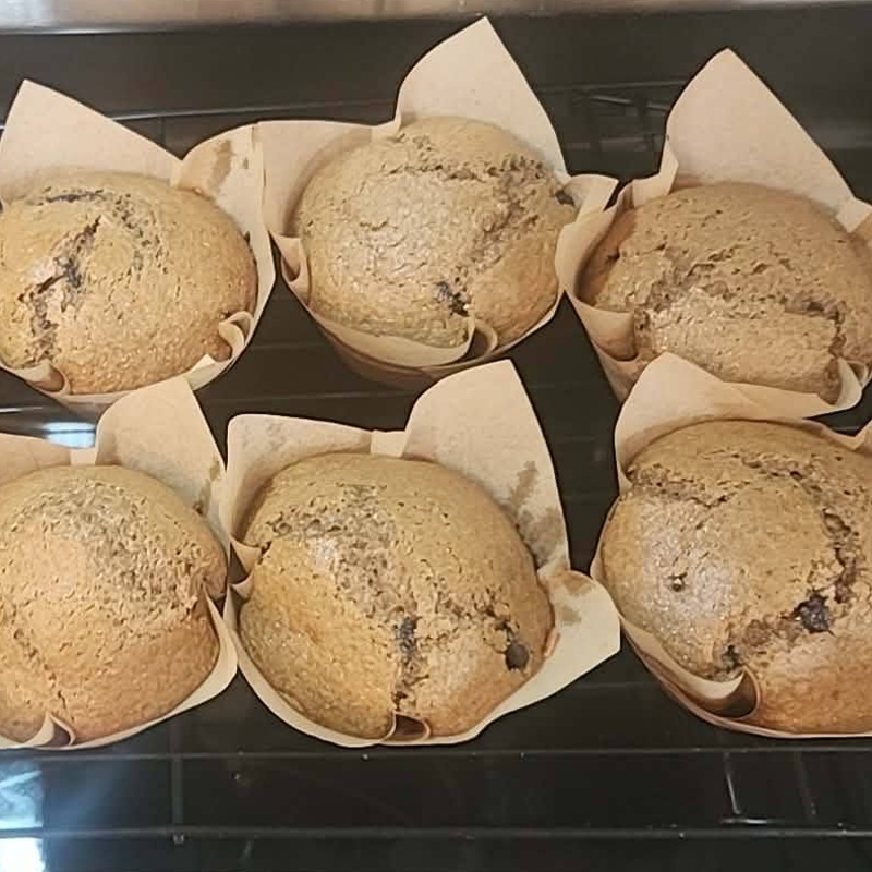 Fresh Milled Chocolate Chip Muffins