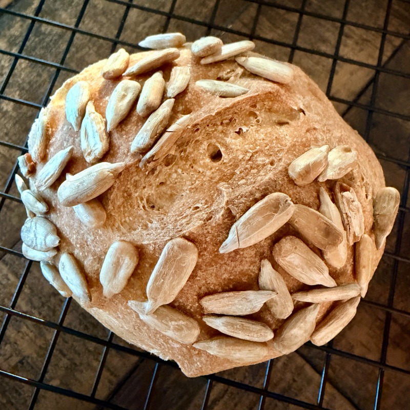 Photo of 6-Pack Sunflower Seed Rolls with Spelt Flour