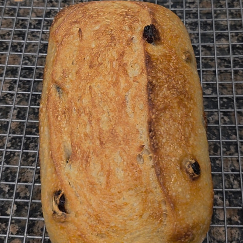 Orange Cranberry Sourdough 🍊