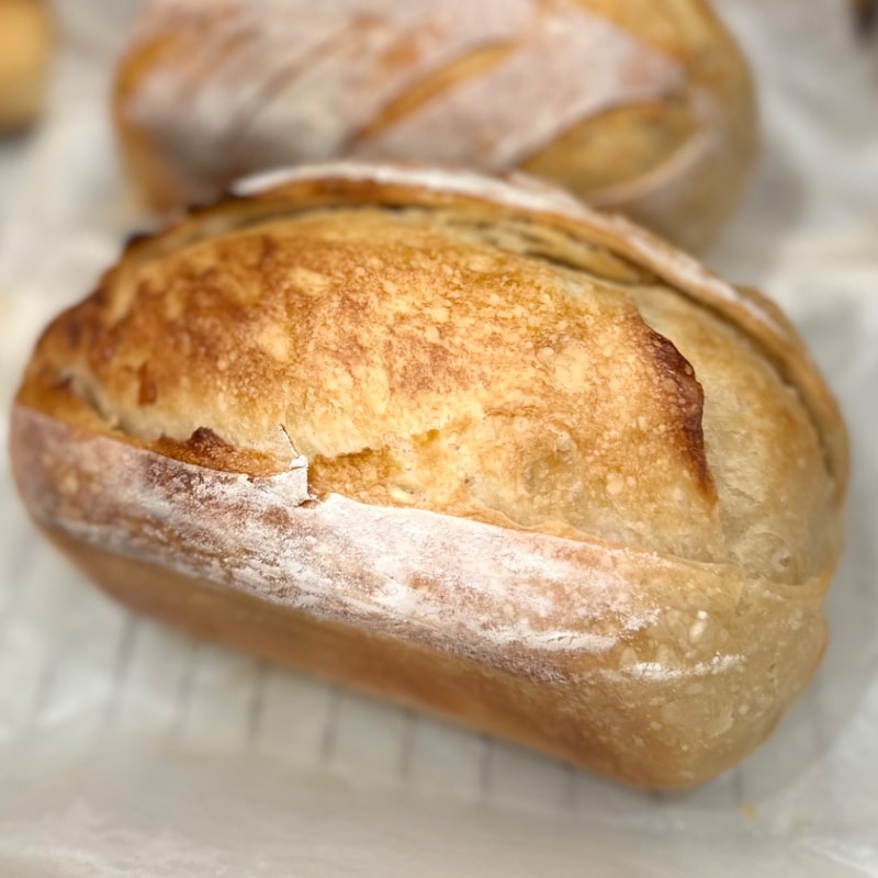 Photo of Buttery Croissant SD loaf