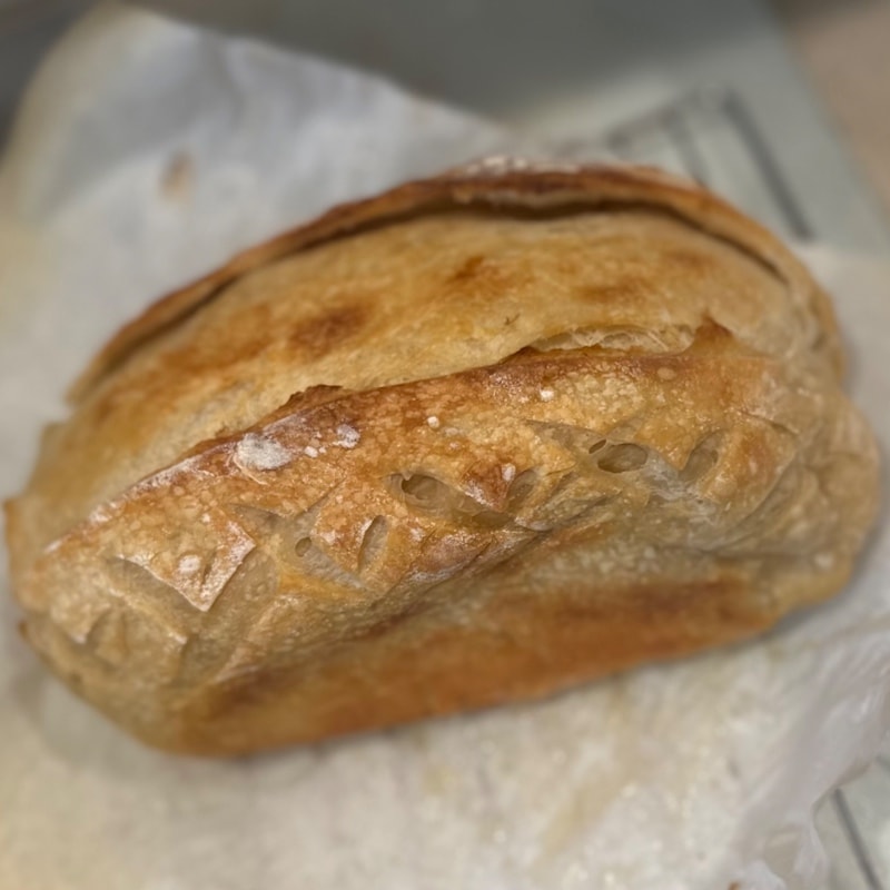 Photo of Plain SD Loaf