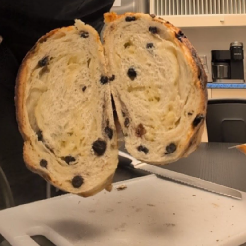 Photo of Blueberry Jack Sourdough