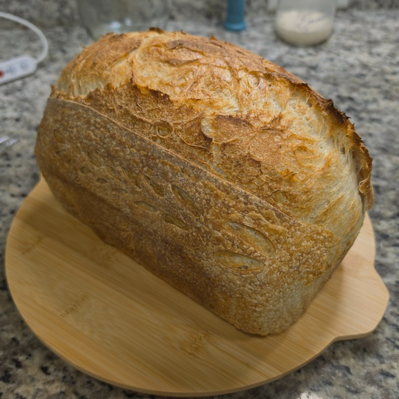Sandwich Sourdough Loaf 