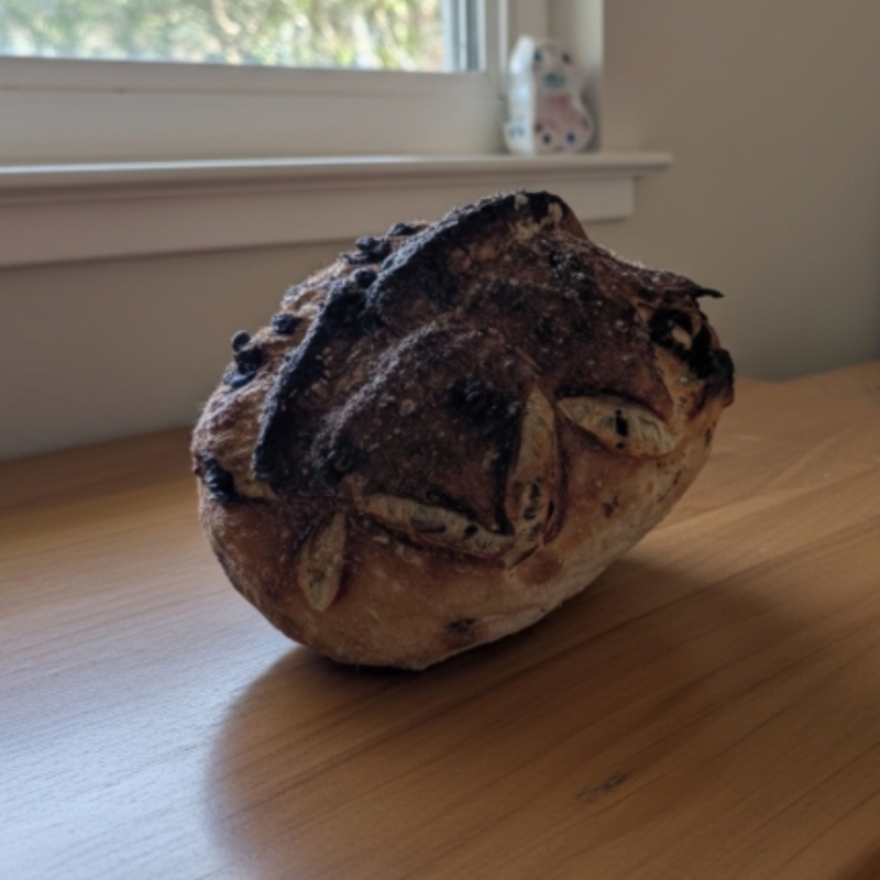 Photo of Chocolate Chip Sourdough