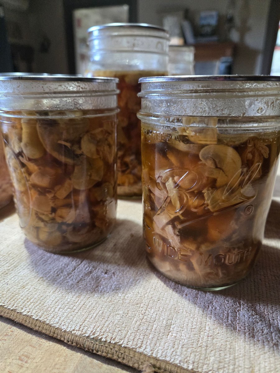 Pint jars of canned chicken, mushroom and garlic sauce