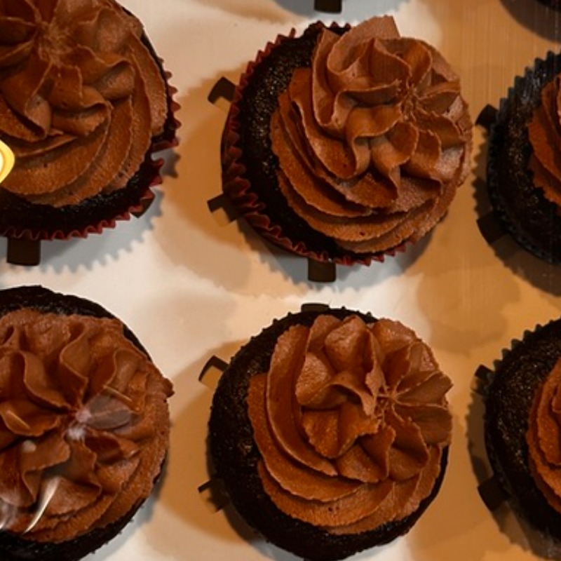 Chocolate Cupcakes