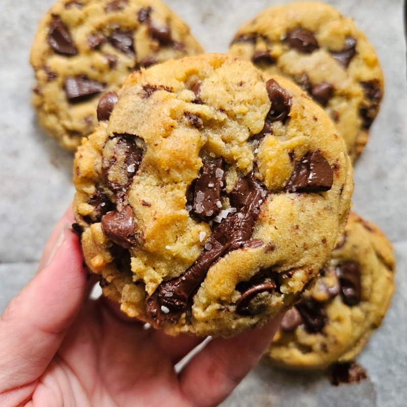 Deluxe Chocolate Chip Cookie