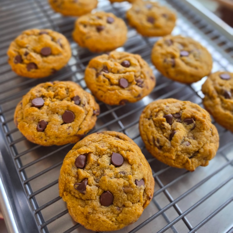 Pumpkin 🎃 Chocolate Chip Cookies