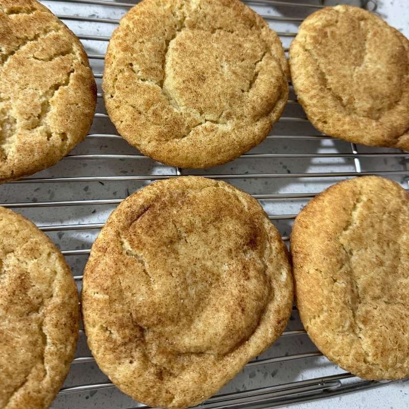 Photo of Snickerdoodle