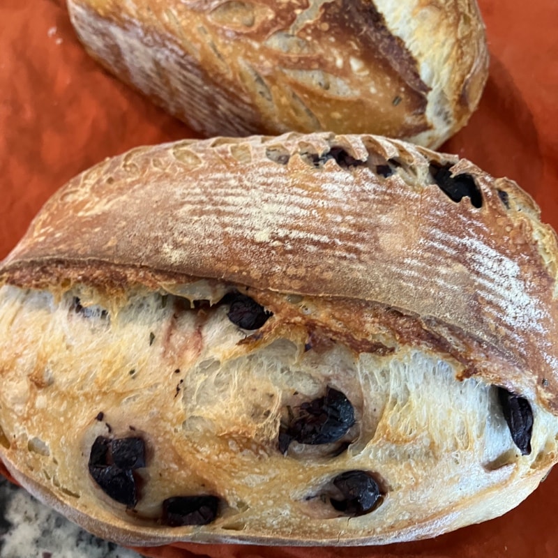 Kalamata Olive Sourdough Loaf