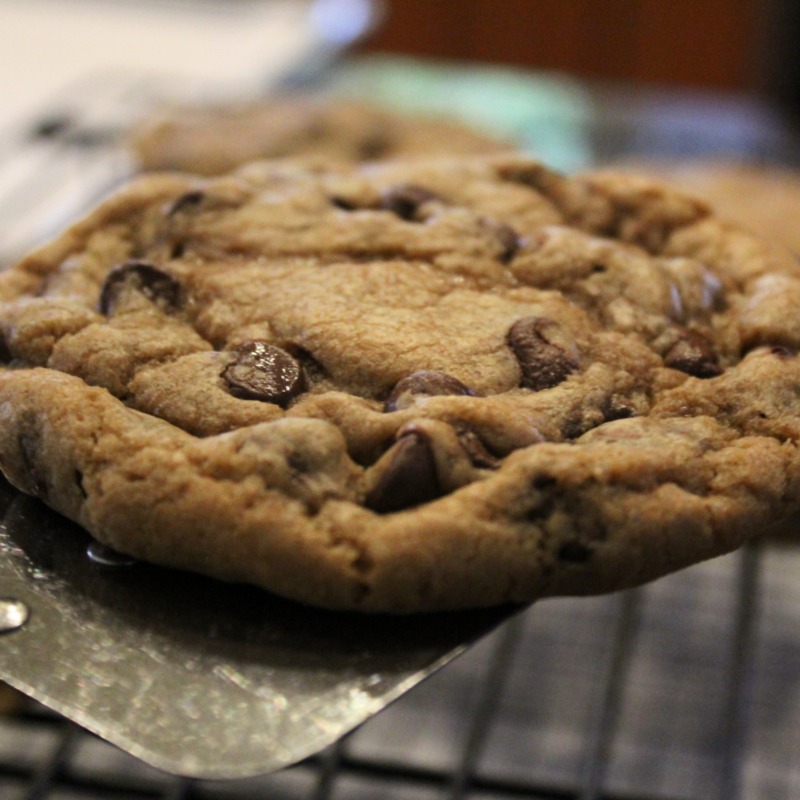 Chip Off The Ol’ Block - Chocolate Chip Cookie