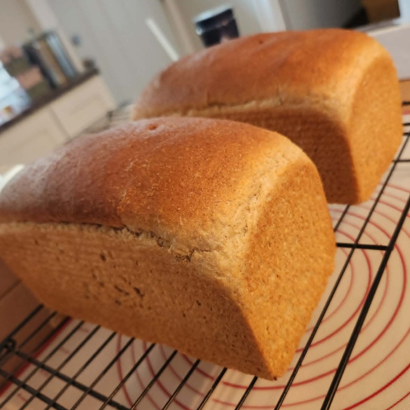 Fresh Milled Sandwich Bread