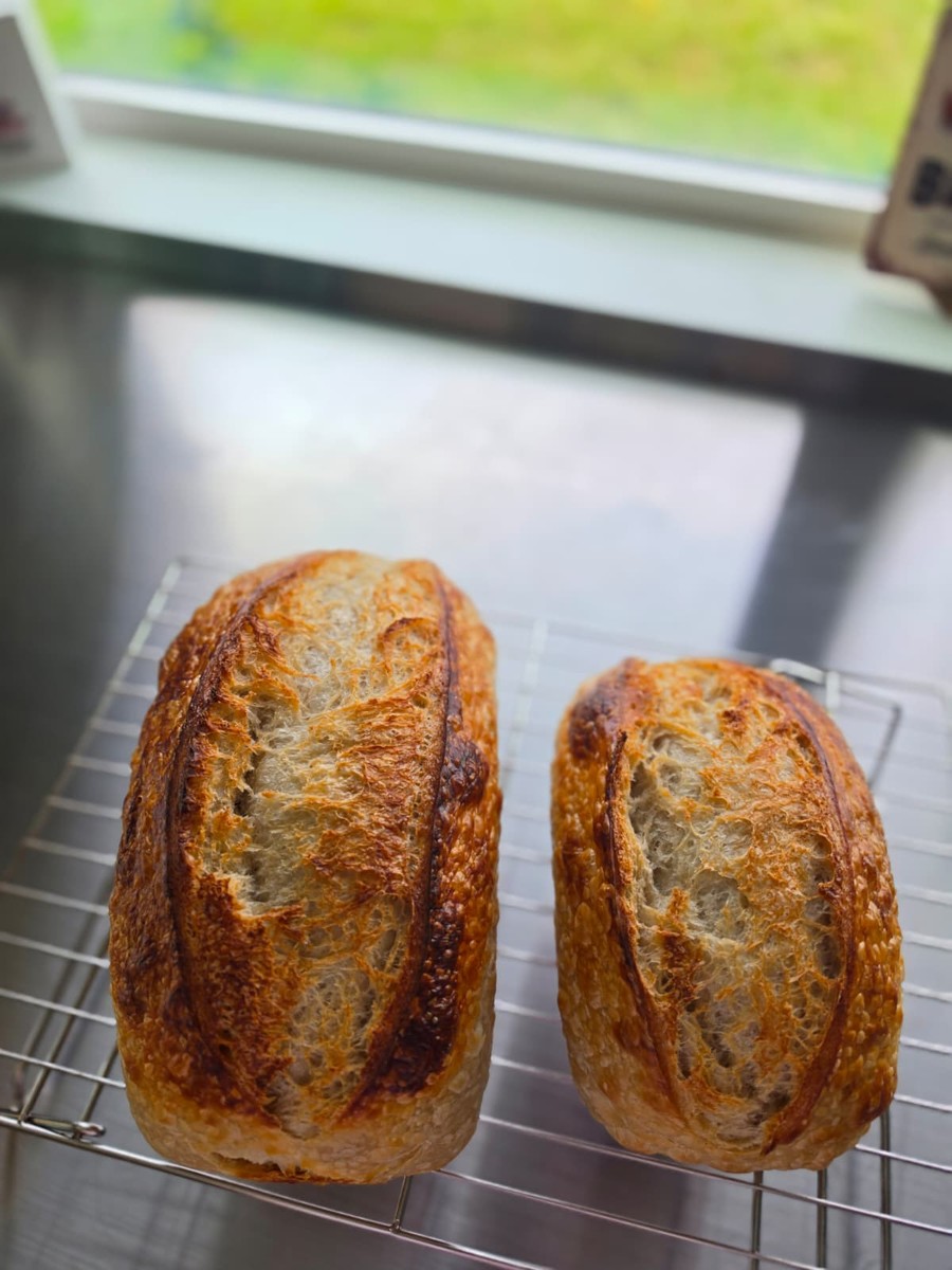 Sandwich Style Loaf (10"x5")