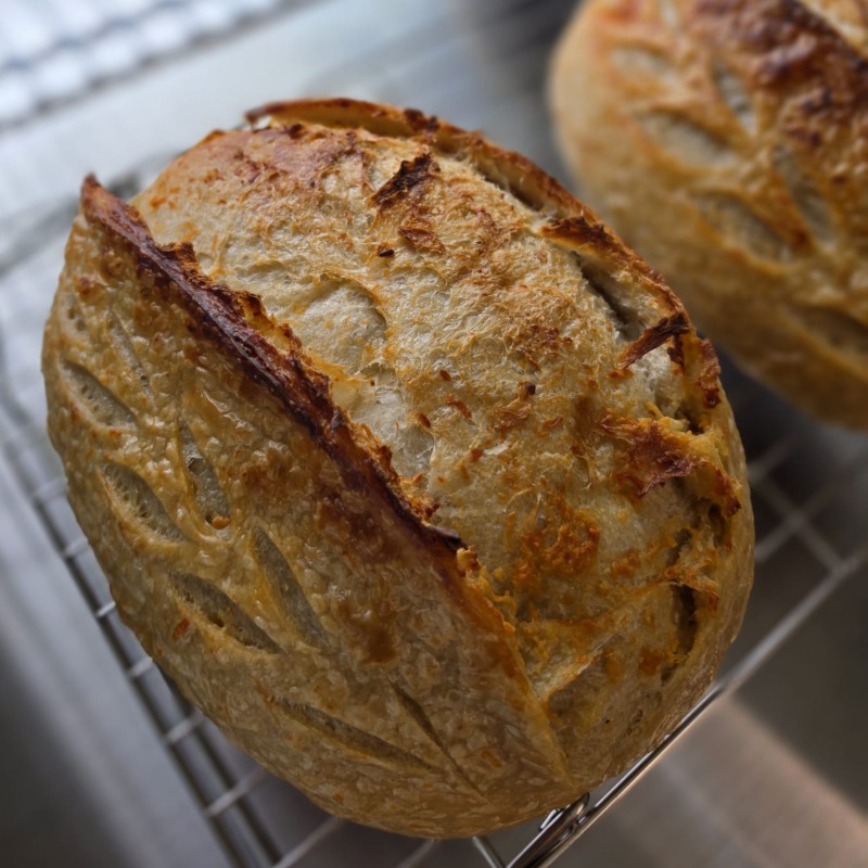 Photo of Asiago Sourdough Bread