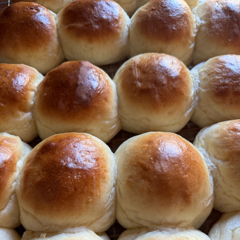 Brioche Buns