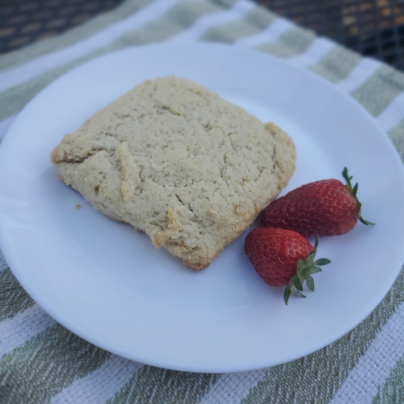 Old- Fashioned Shortcake