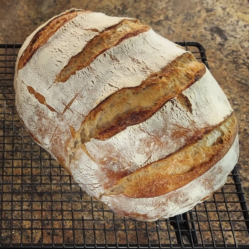 Basic Country Sourdough Bread