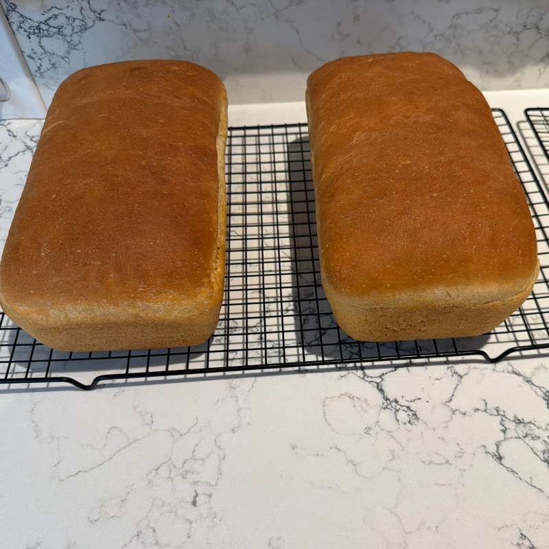 Photo of Sourdough Sandwich Bread