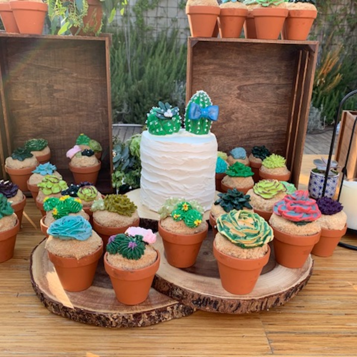 baked in terracotta pots