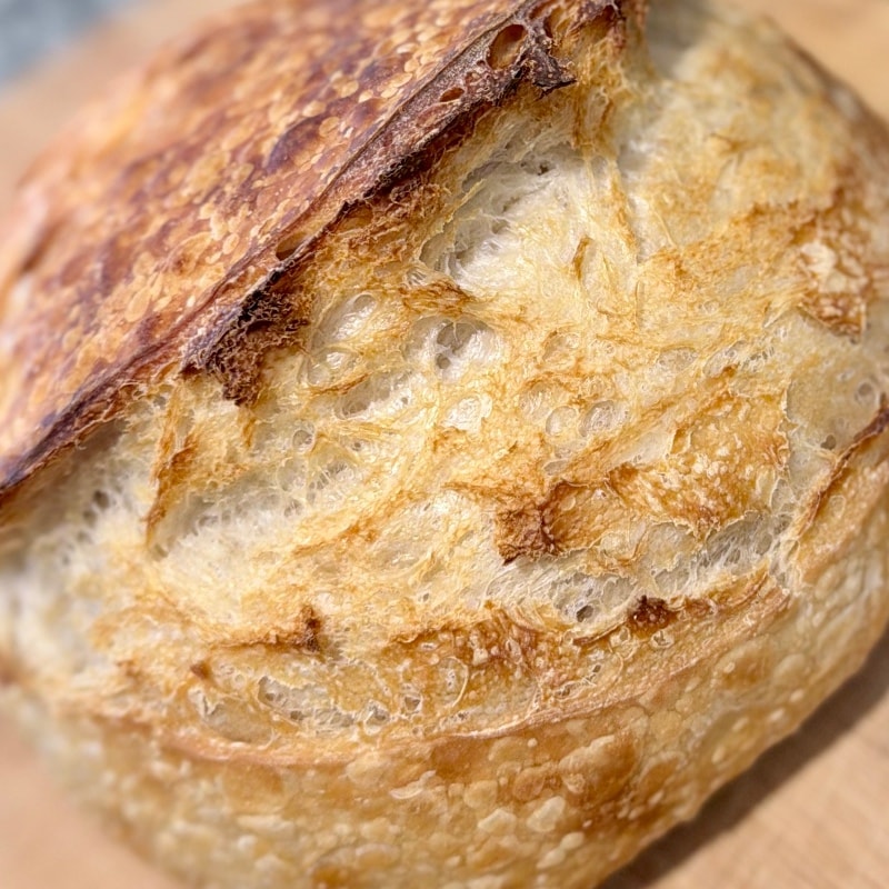 Classic Sourdough 