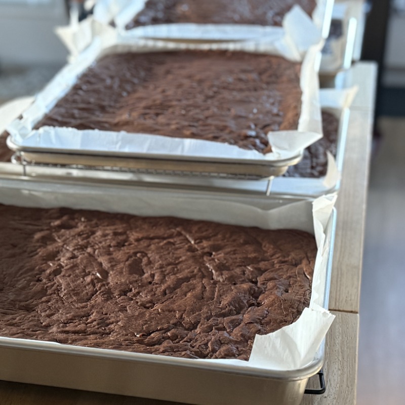 Double Chocolate Brownies