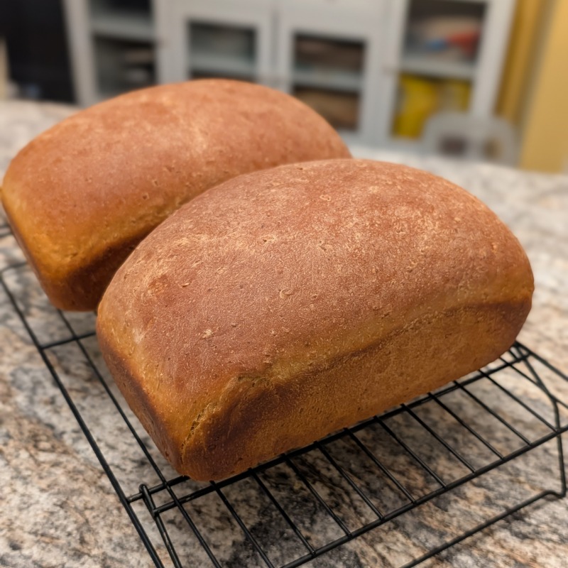 Molasses Brown Bread