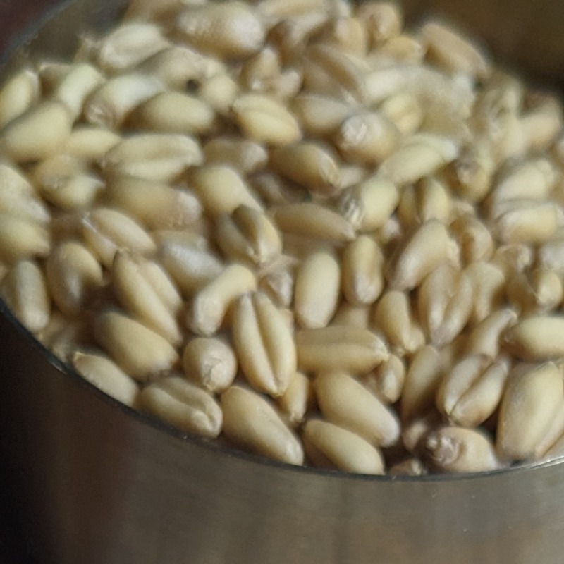 Whole Grains